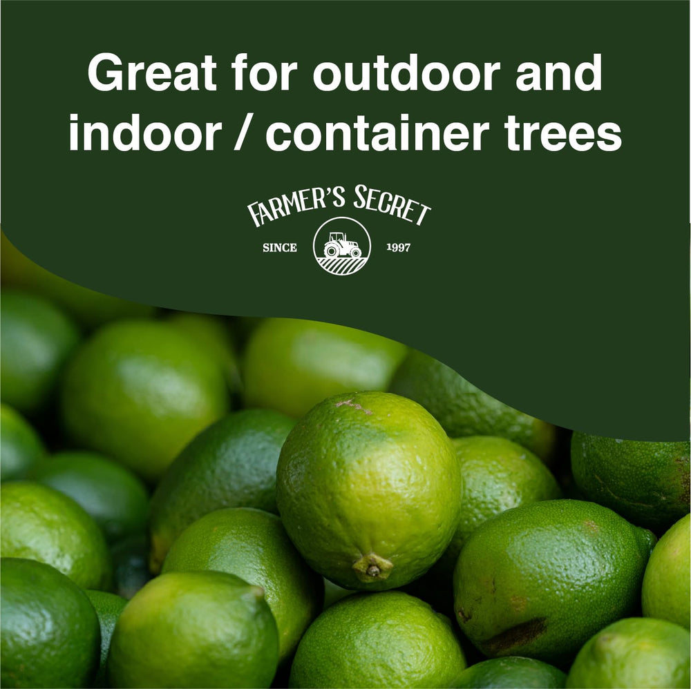 Farmer's Secret Citrus Tree Booster indoor container tree setup