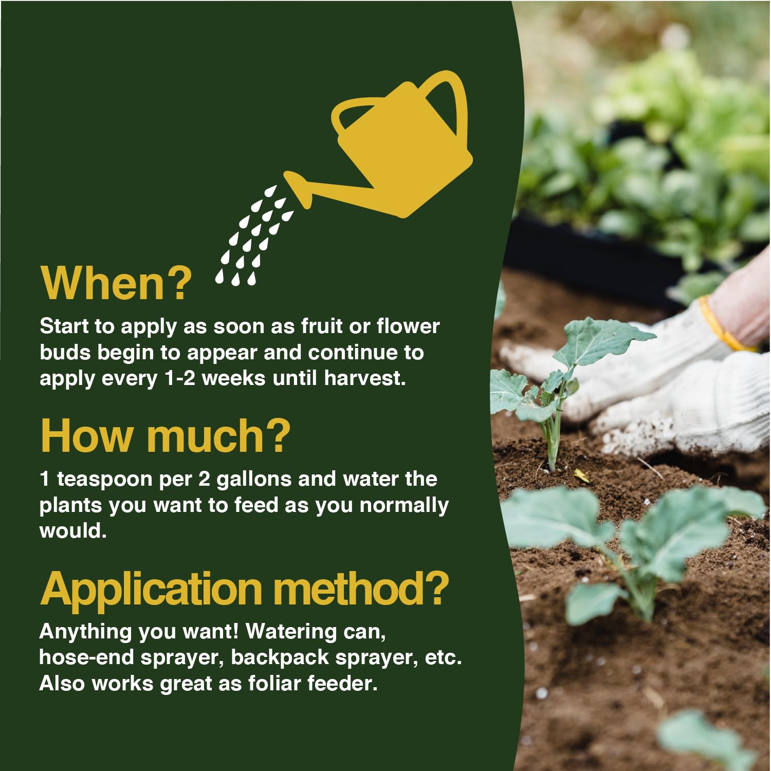 Farmer's Secret concentrated-fertilizer-dilution-guide depicts precise dosing for efficient feeding.