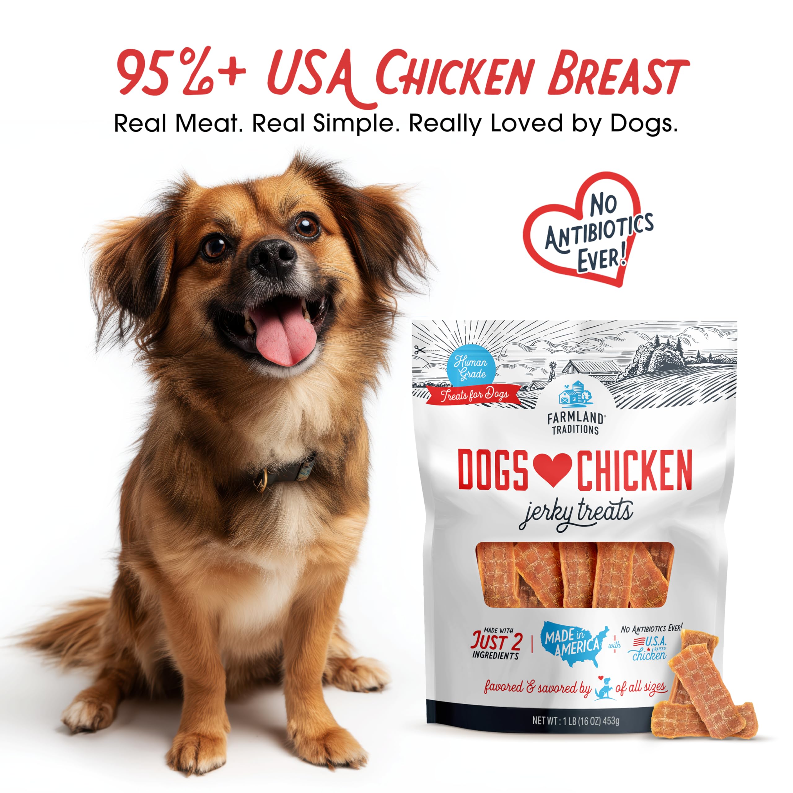Farmland Traditions Chicken Jerky close-up texture showing soft, chewy strips ideal for all breeds.