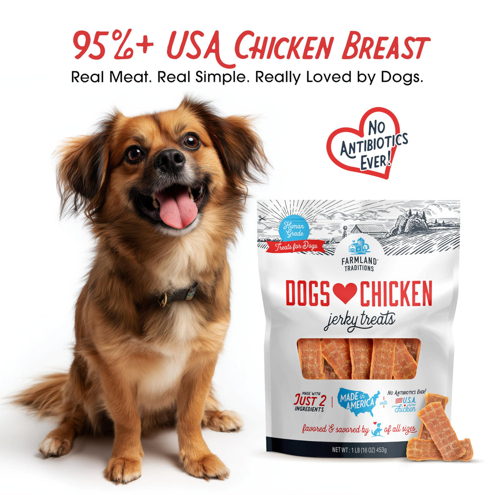 Farmland Traditions Chicken Jerky close-up texture showing soft, chewy strips ideal for all breeds.