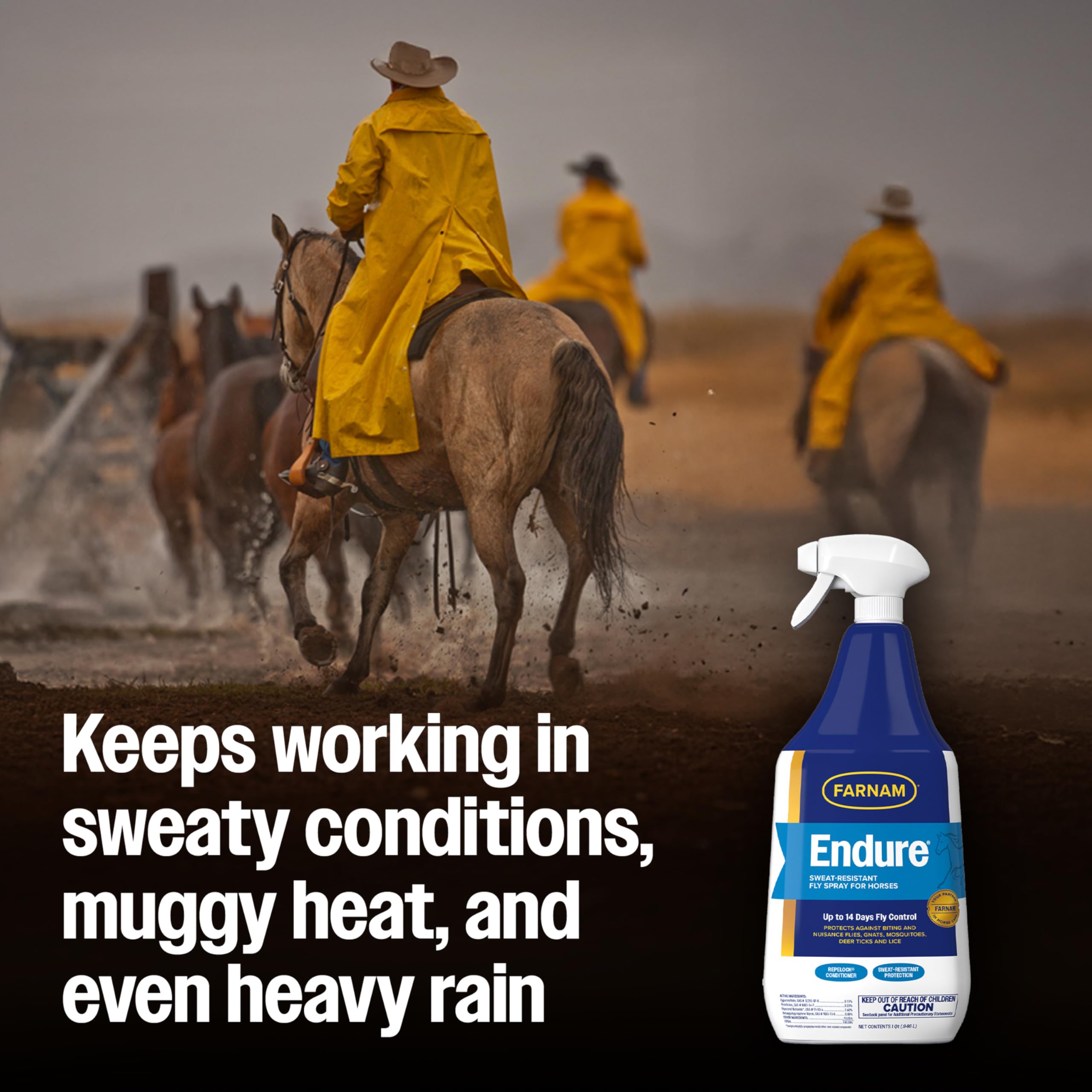 Gallon refill of Farnam Endure for ongoing horse fly protection
