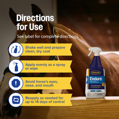 Groomer applying Farnam Endure to a horse's neck and chest area