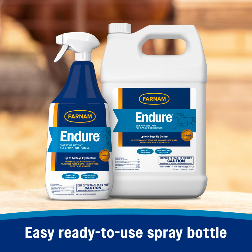 Misting Farnam Endure over a calm horse during handling