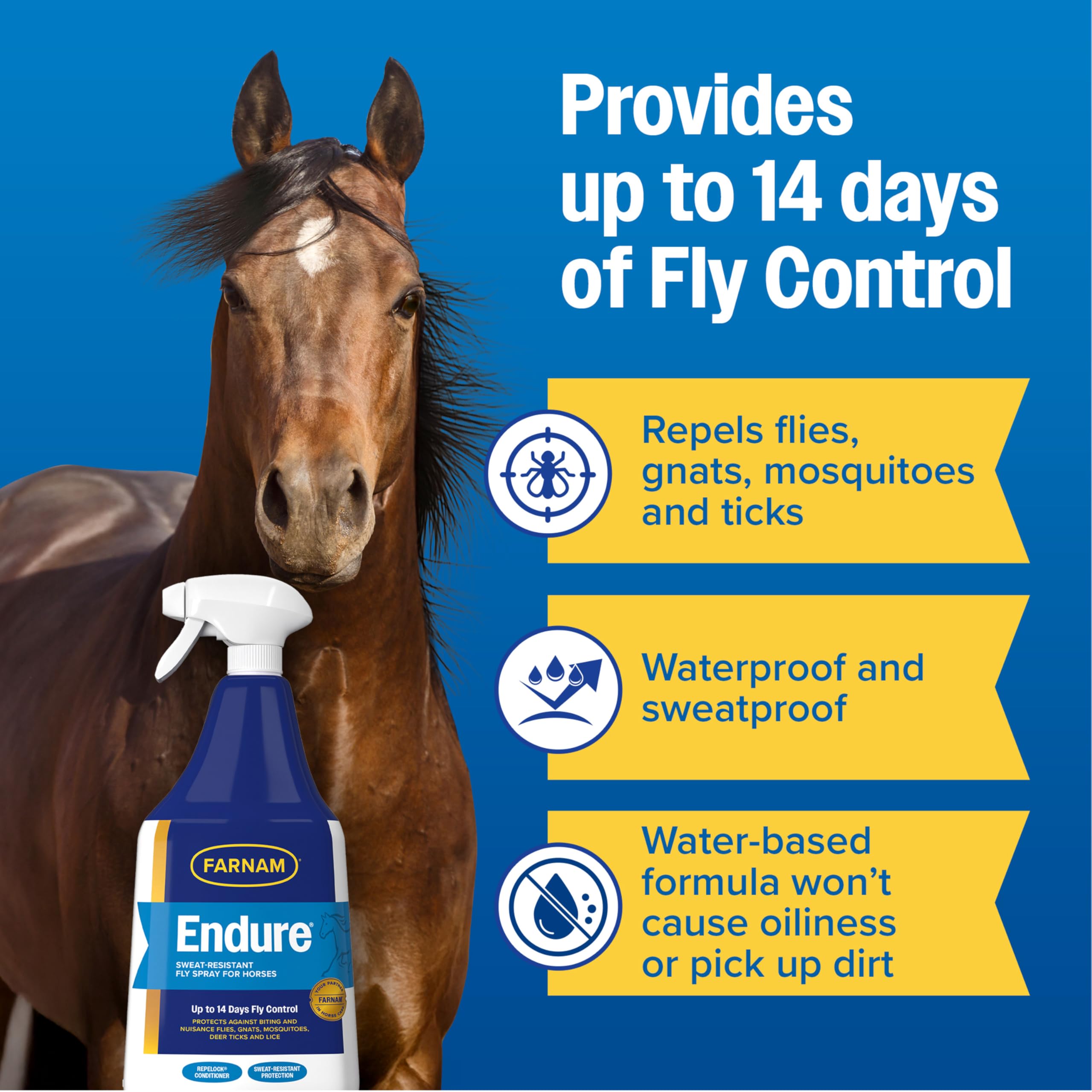 Stable aisle with Farnam Endure bottle ready for use during turnout