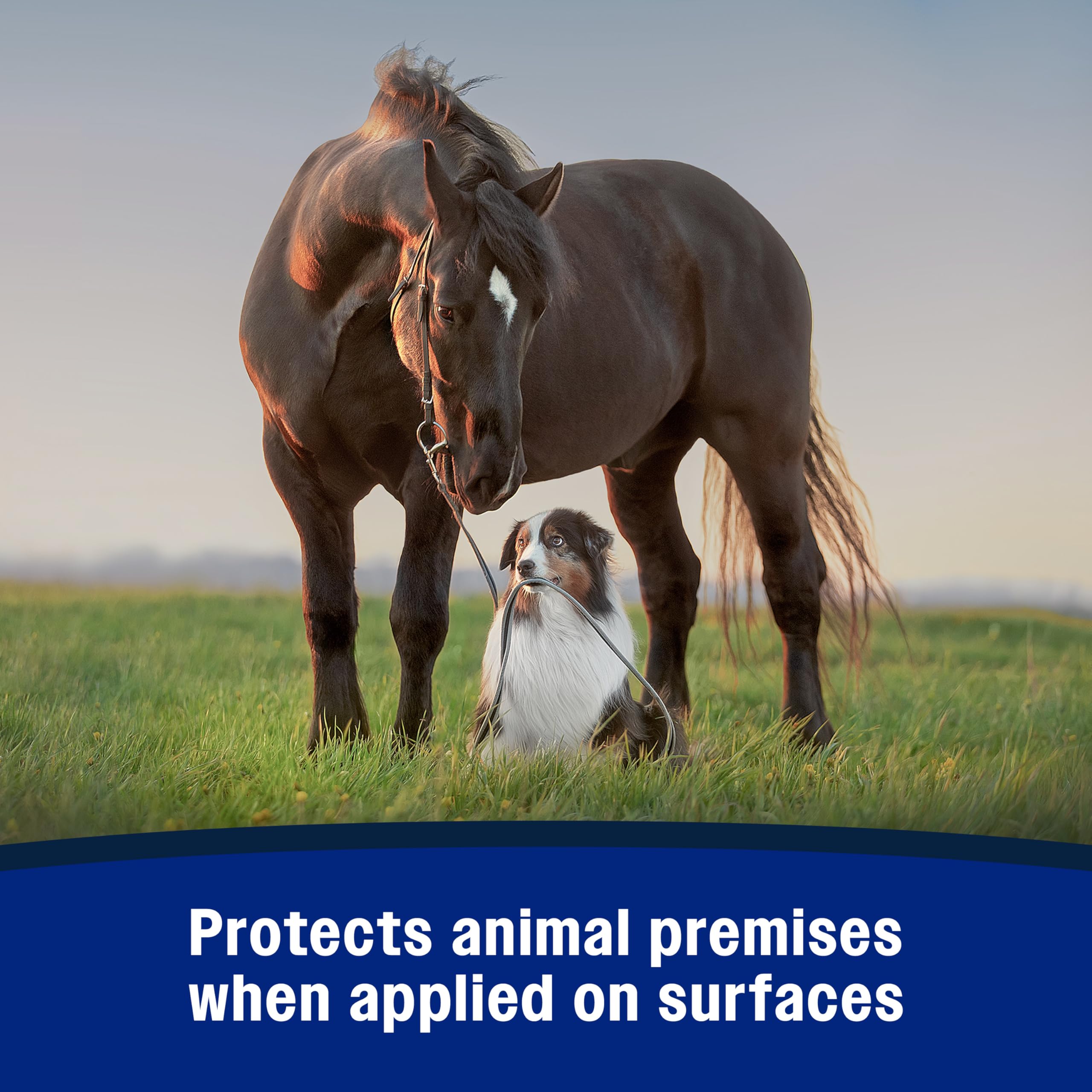Farnam Repel-X applied to doors and windows to deter pests.