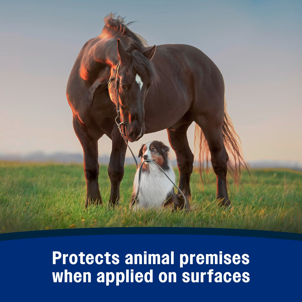 Farnam Repel-X applied to doors and windows to deter pests.
