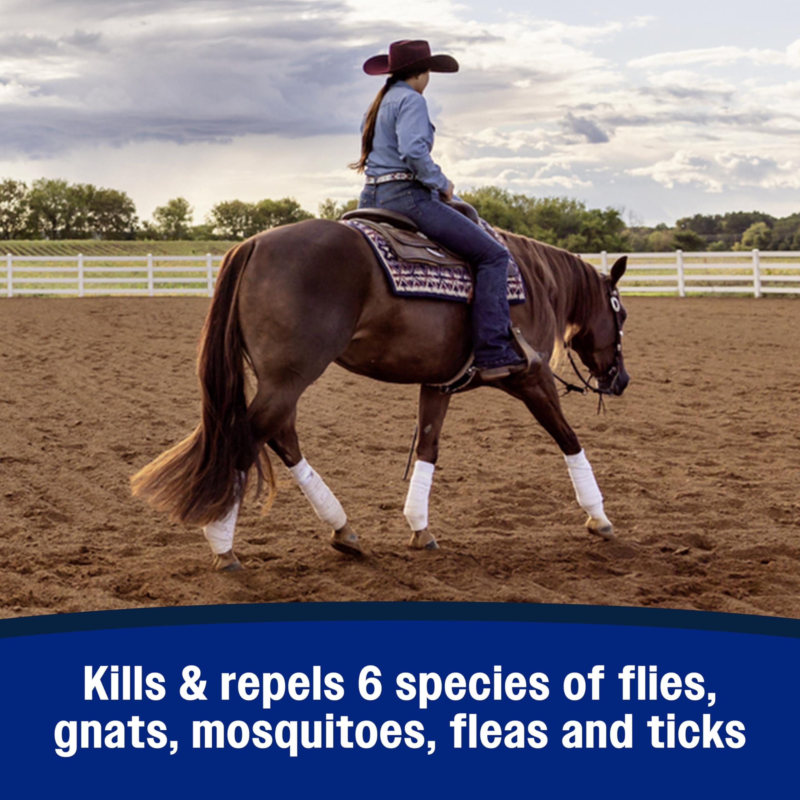 Farnam Repel-X spray on dog shows versatile use beyond stables.