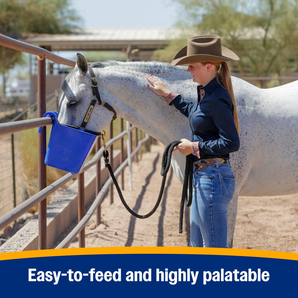 Horse enjoying SimpliFly pellets mixed with feed.