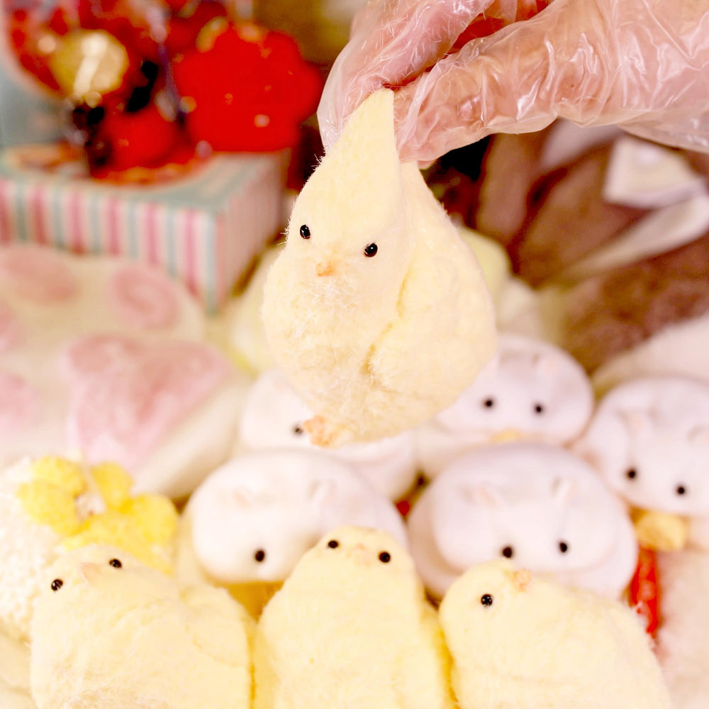FauKait chick decorative squishy enhances cute desk or shelf decor