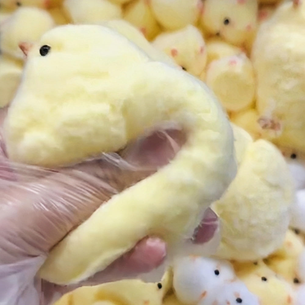 FauKait chick stress relief silicone toy offers calming, focus