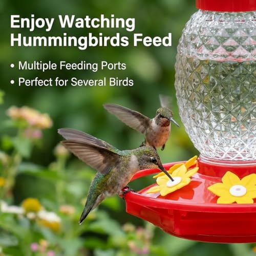 Fchstaer glass feeder with ant moat reduces insect intrusions during feeding