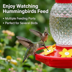 Fchstaer glass feeder with ant moat reduces insect intrusions during feeding