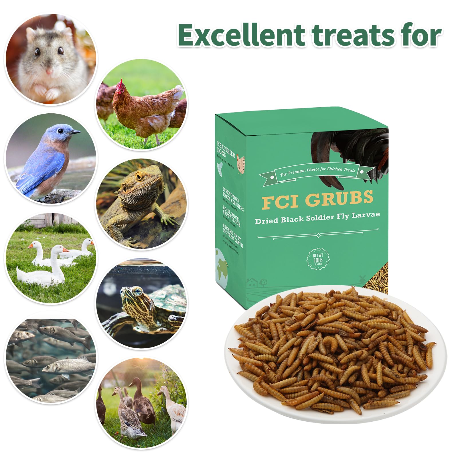 FCI Grubs coop feeding scene shows easy-to-dish feed for multiple birds