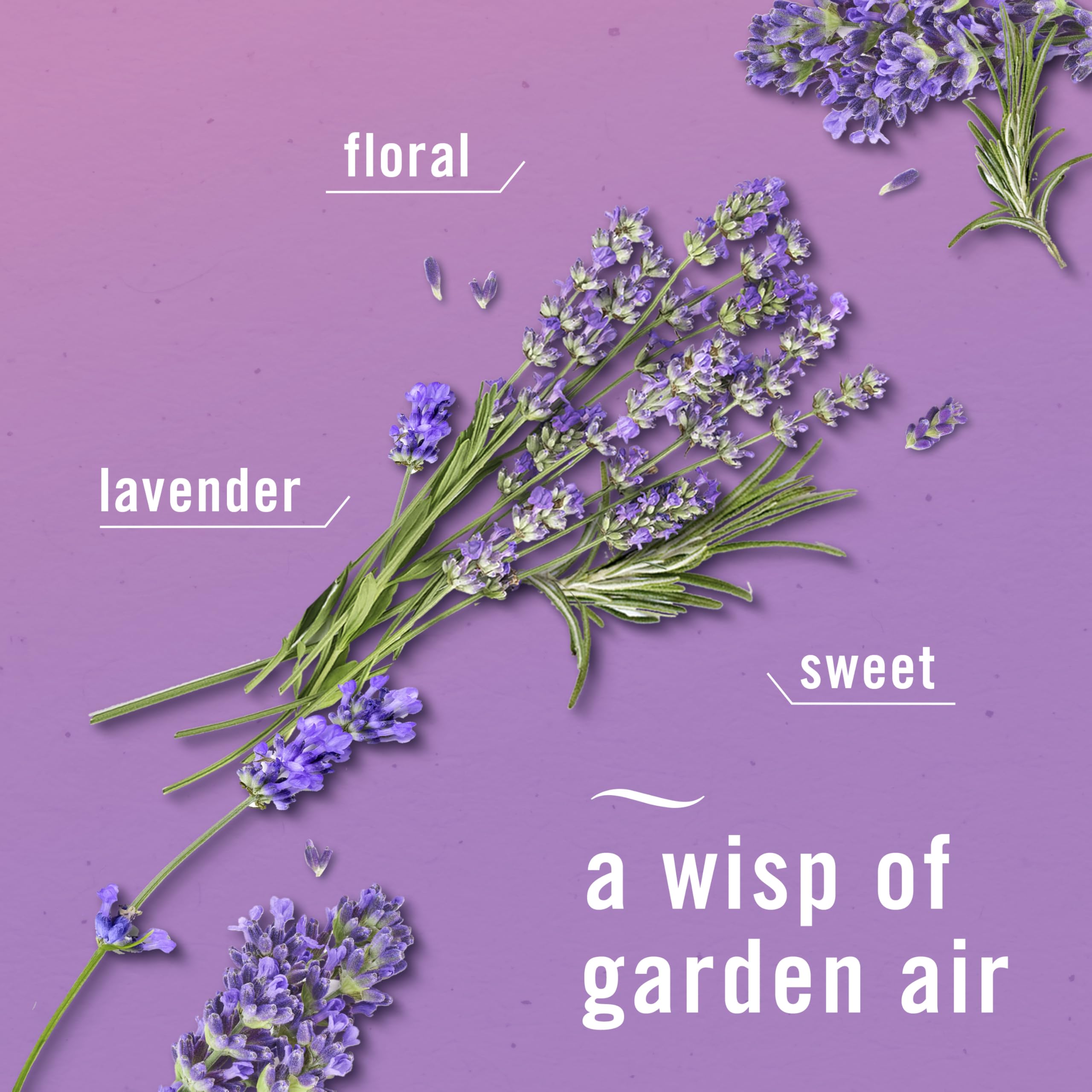 Febreze Air Mist Twilight Lavender in the kitchen for odor control