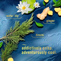 Febreze Air Mist Ocean bottle in kitchen setting for everyday freshness.