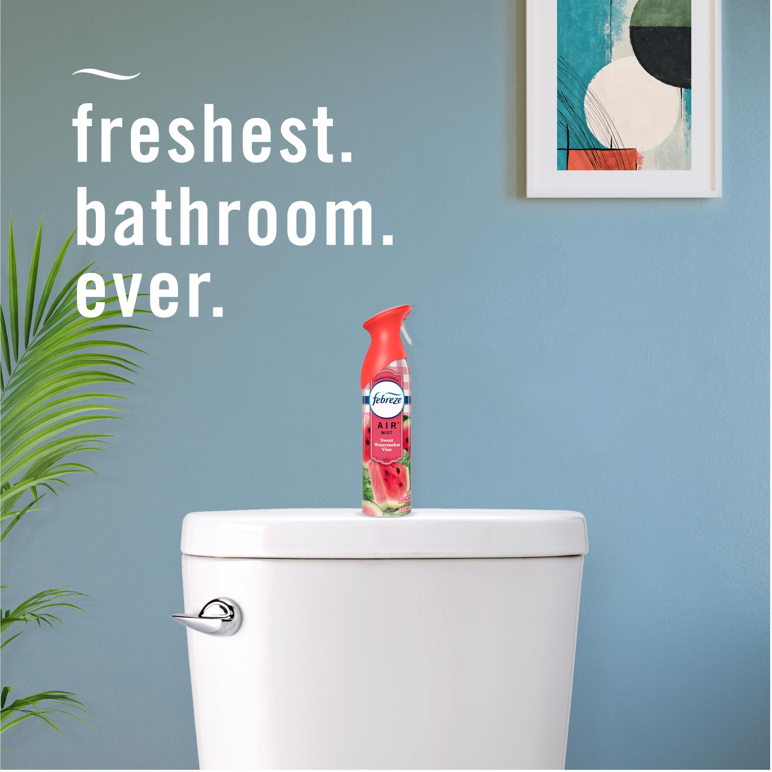 Living room setting with Febreze Air Mist Sweet Watermelon Vine for light scent.