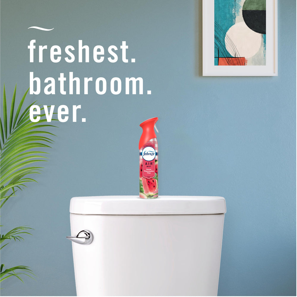 Living room setting with Febreze Air Mist Sweet Watermelon Vine for light scent.