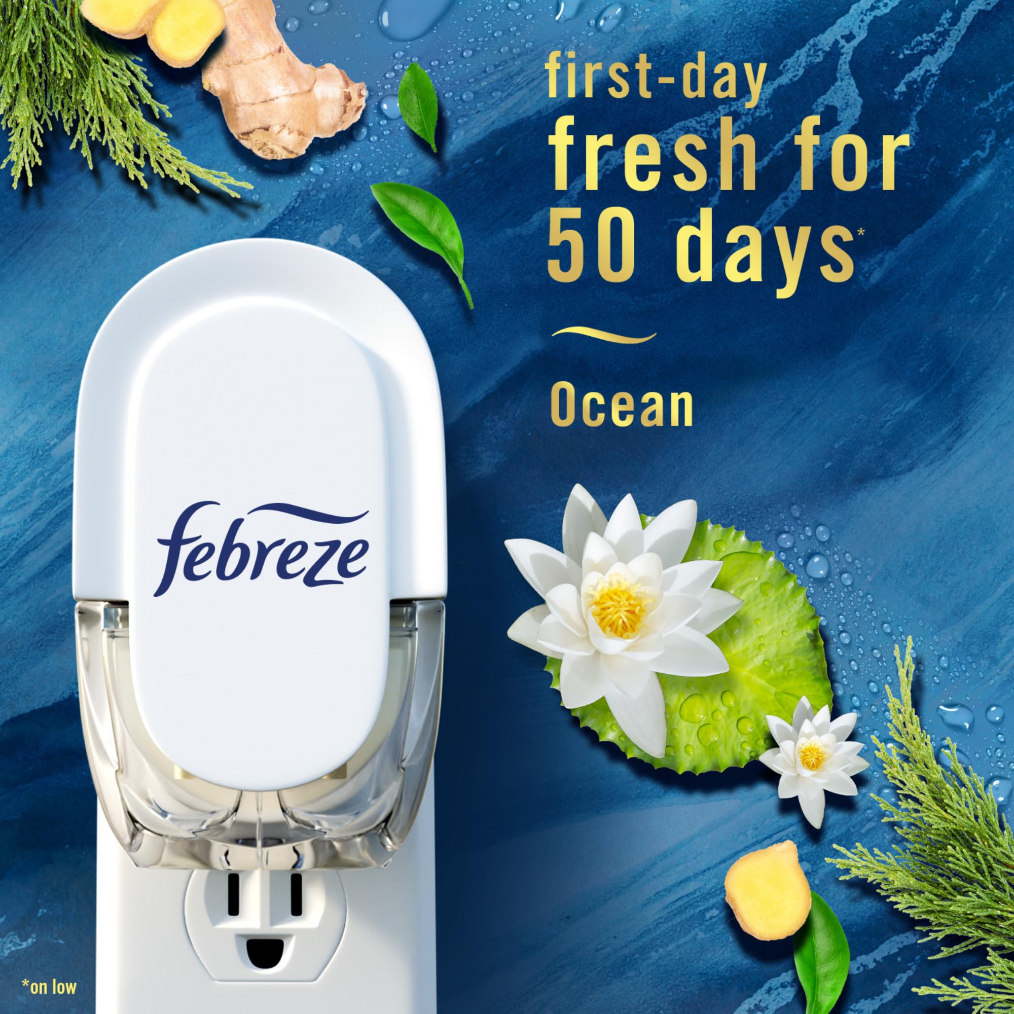 Febreze Plug Rainforest packaging with refill set