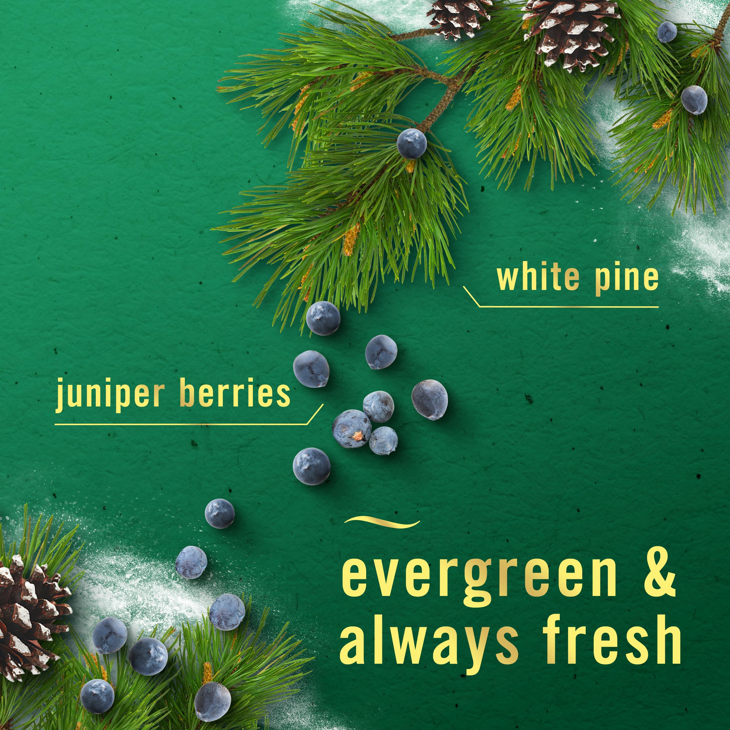 Febreze White Pine & Juniper Berry scent creates a festive, fresh atmosphere