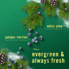 Febreze White Pine & Juniper Berry scent creates a festive, fresh atmosphere
