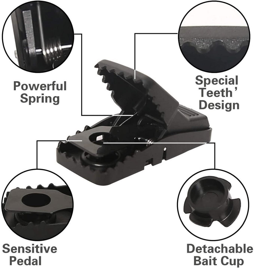 Feeke trap features a stainless steel spring for quick, reliable catches.