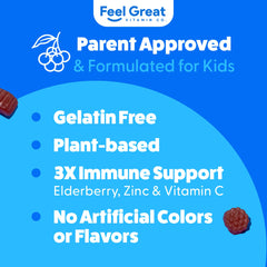 The Feel Great Vitamin Co. elderberry gummies for kids with vitamin C and zinc support immune health.