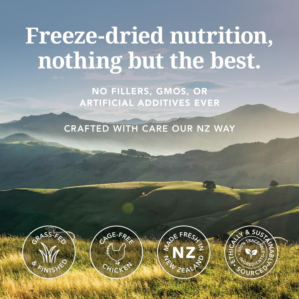 Feline Natural high-protein dry cat food highlights meat and seafood sources