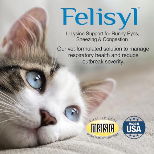 Felisyl L-Lysine Gel texture close-up highlights smooth salmon flavor.