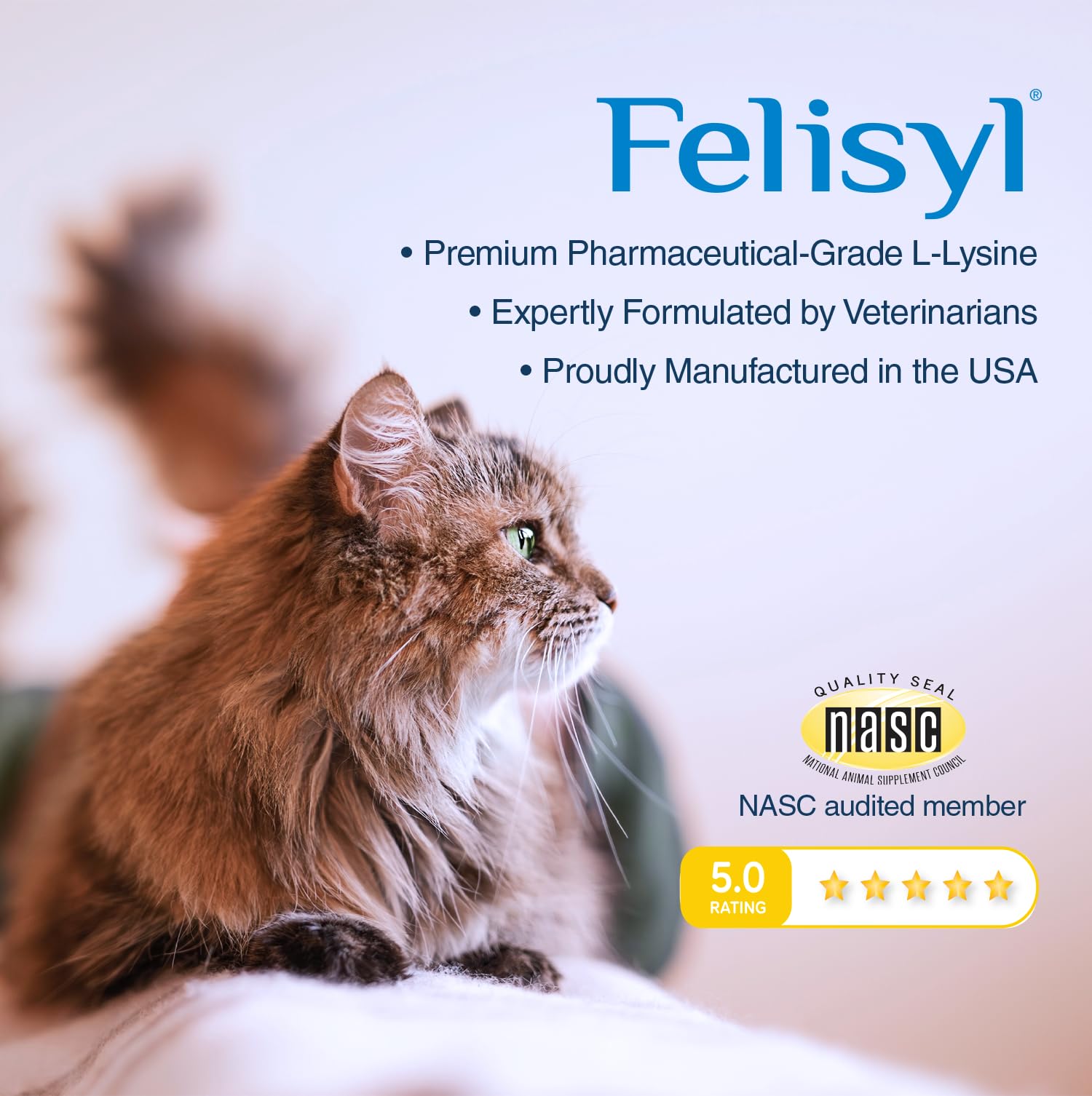 Felisyl veterinarian-formulated L-Lysine gel for targeted support.