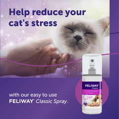 Feliway Classic Spray in cat carrier supports calmer travel