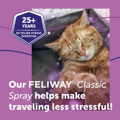 Feliway Classic Spray in a room helps reduce marking and scratching