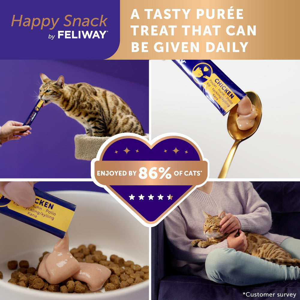 Squeezing FELIWAY Happy Snack tube to feed a lickable cat treat