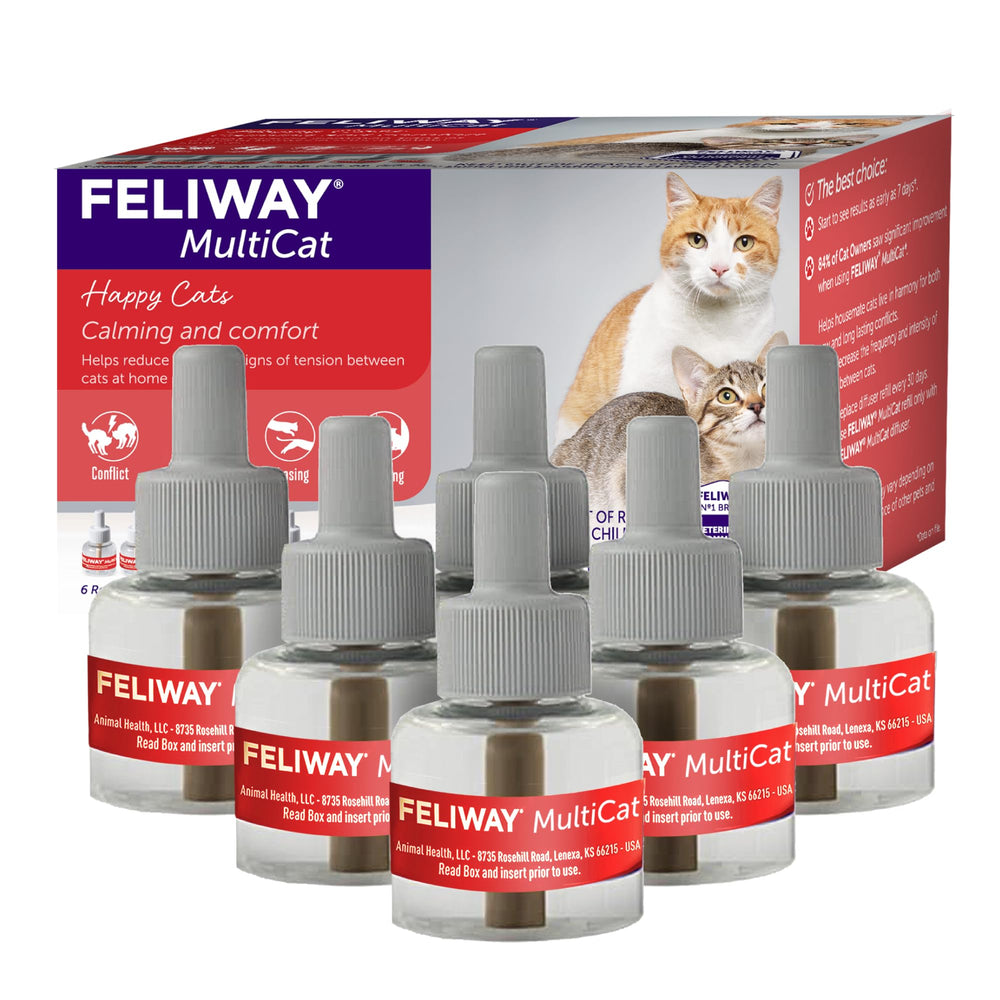 Feliway MultiCat diffuser in use promoting calm in a multi-cat home.