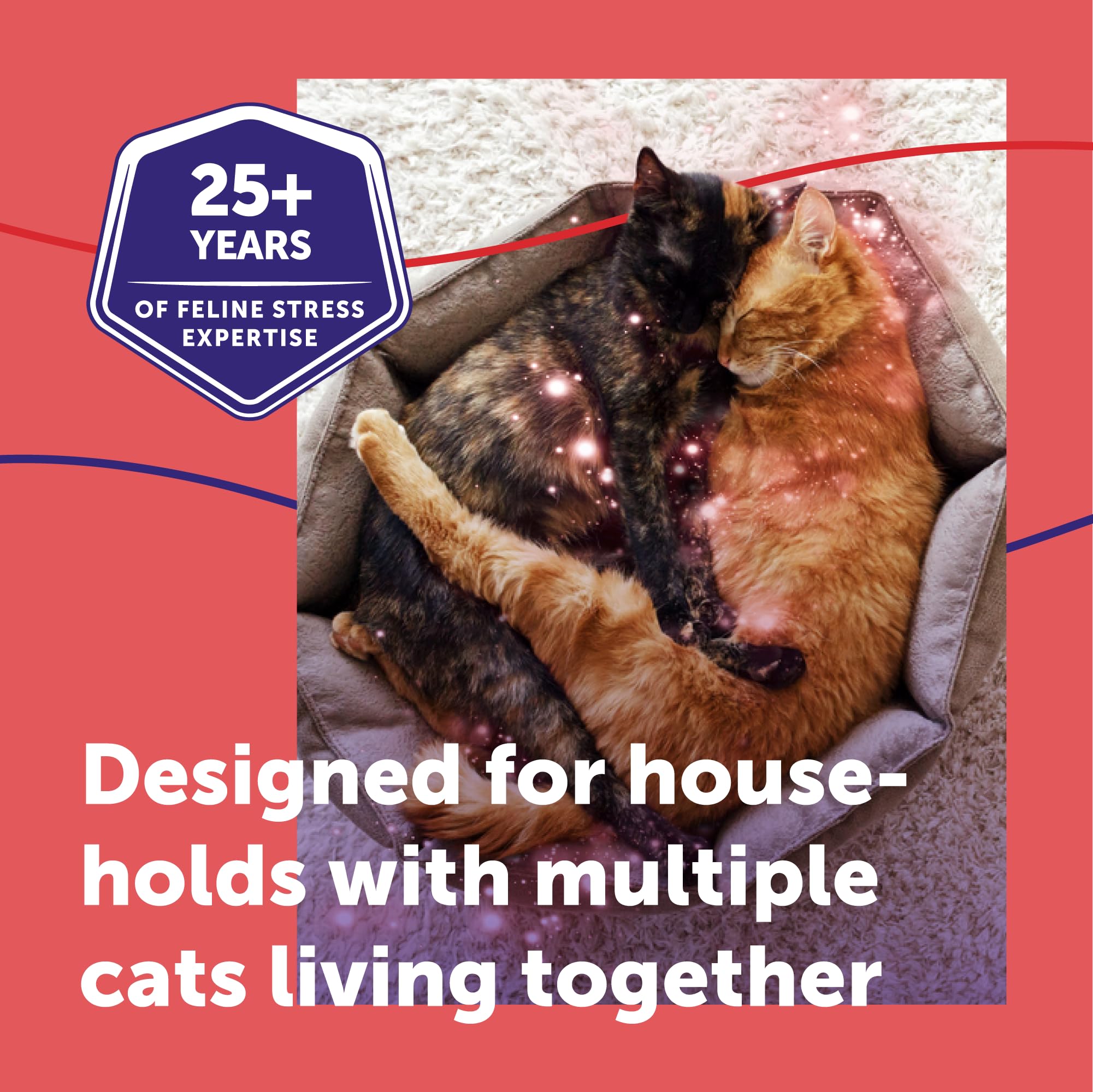 Feliway MultiCat diffuser in a large living space covering up to 700 sq ft.