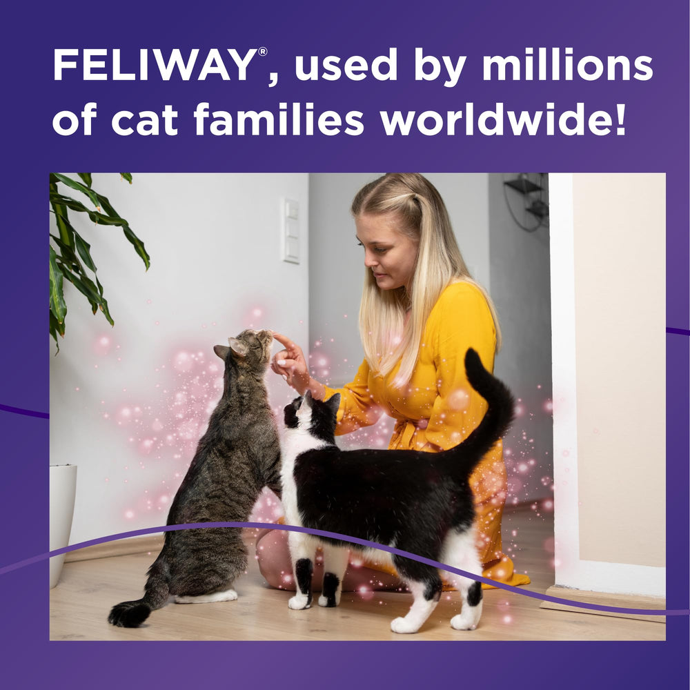Feliway MultiCat trusted by vets for feline well-being.