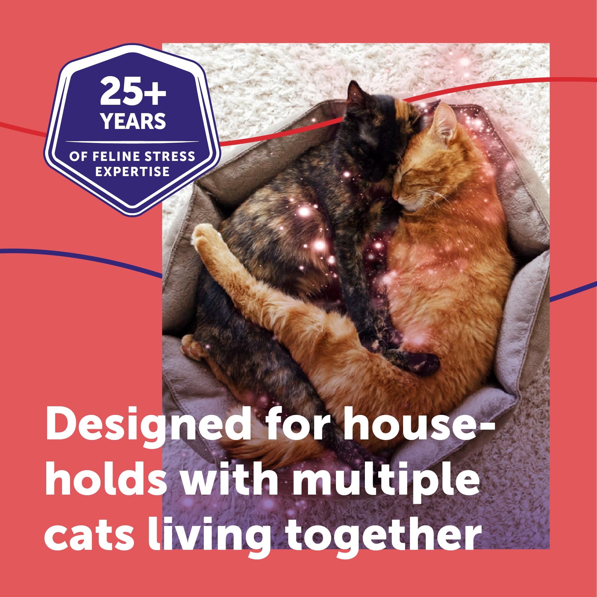 Vet-recommended FELIWAY MultiCat brand with years of experience