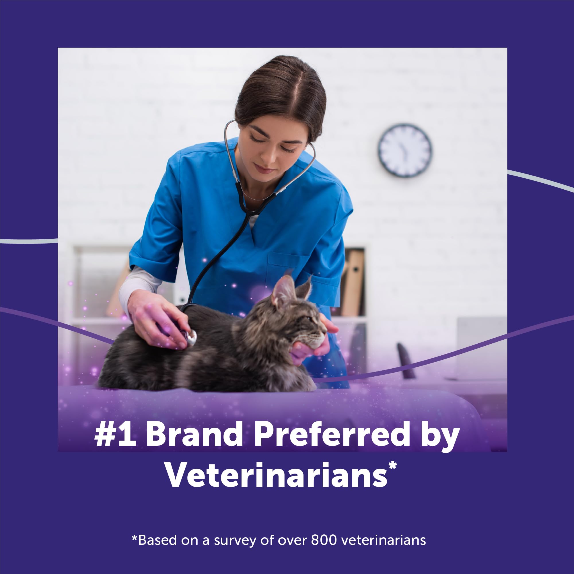 FELIWAY Optimum supports calming in large spaces and multi-cat homes.