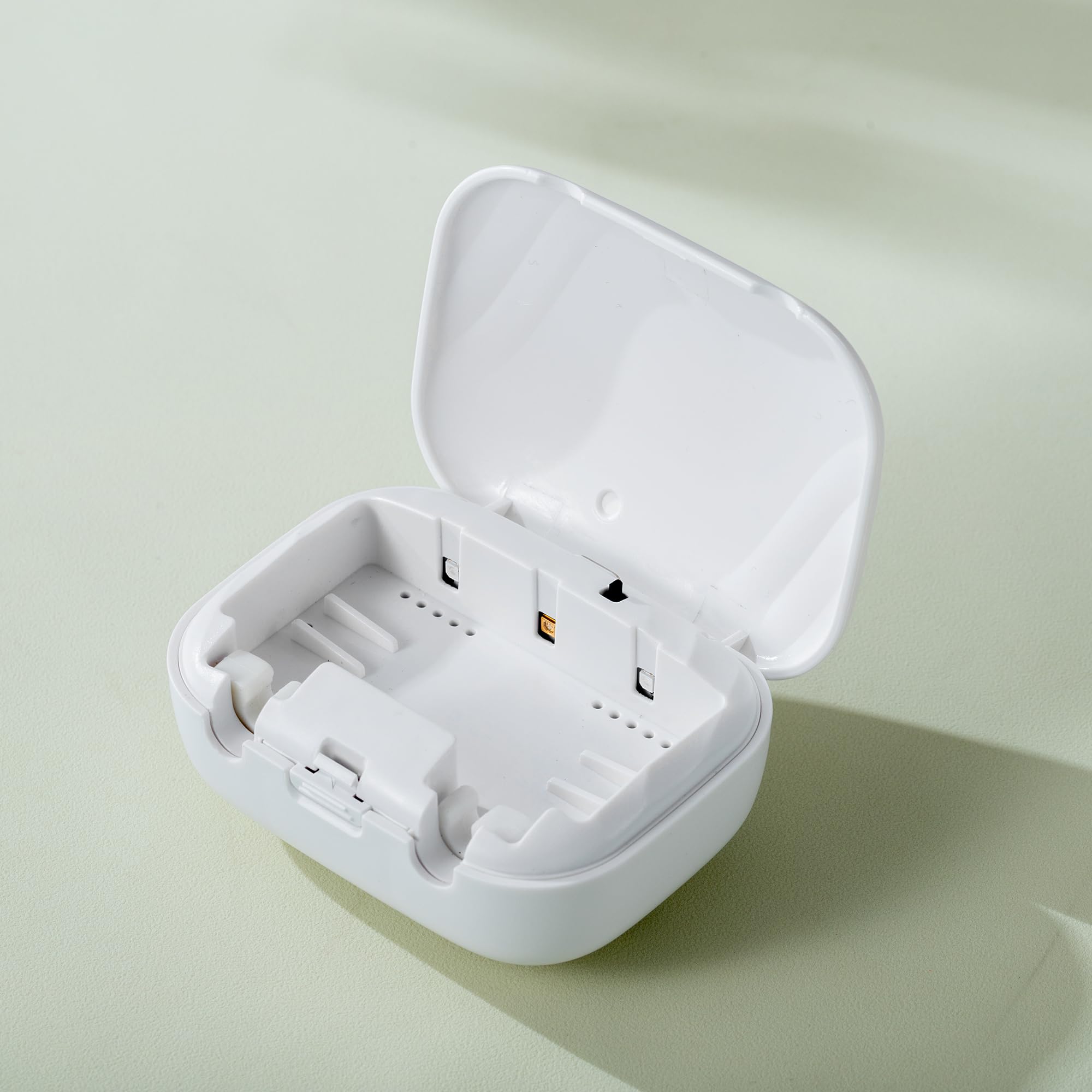 FESTIVAGUARD toothbrush sanitizer case drying with built-in fan
