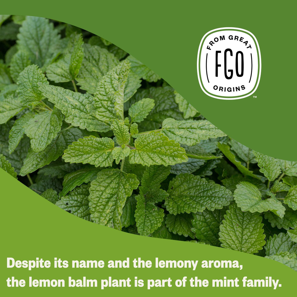 FGO Lemon Balm Tea in foil-lined kraft bag preserves freshness.