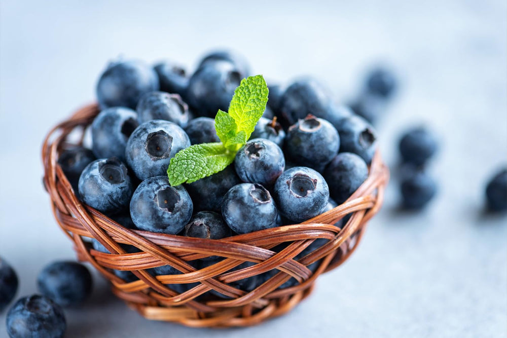 Ficoszo blueberry seeds pouch ready for planting in home gardens
