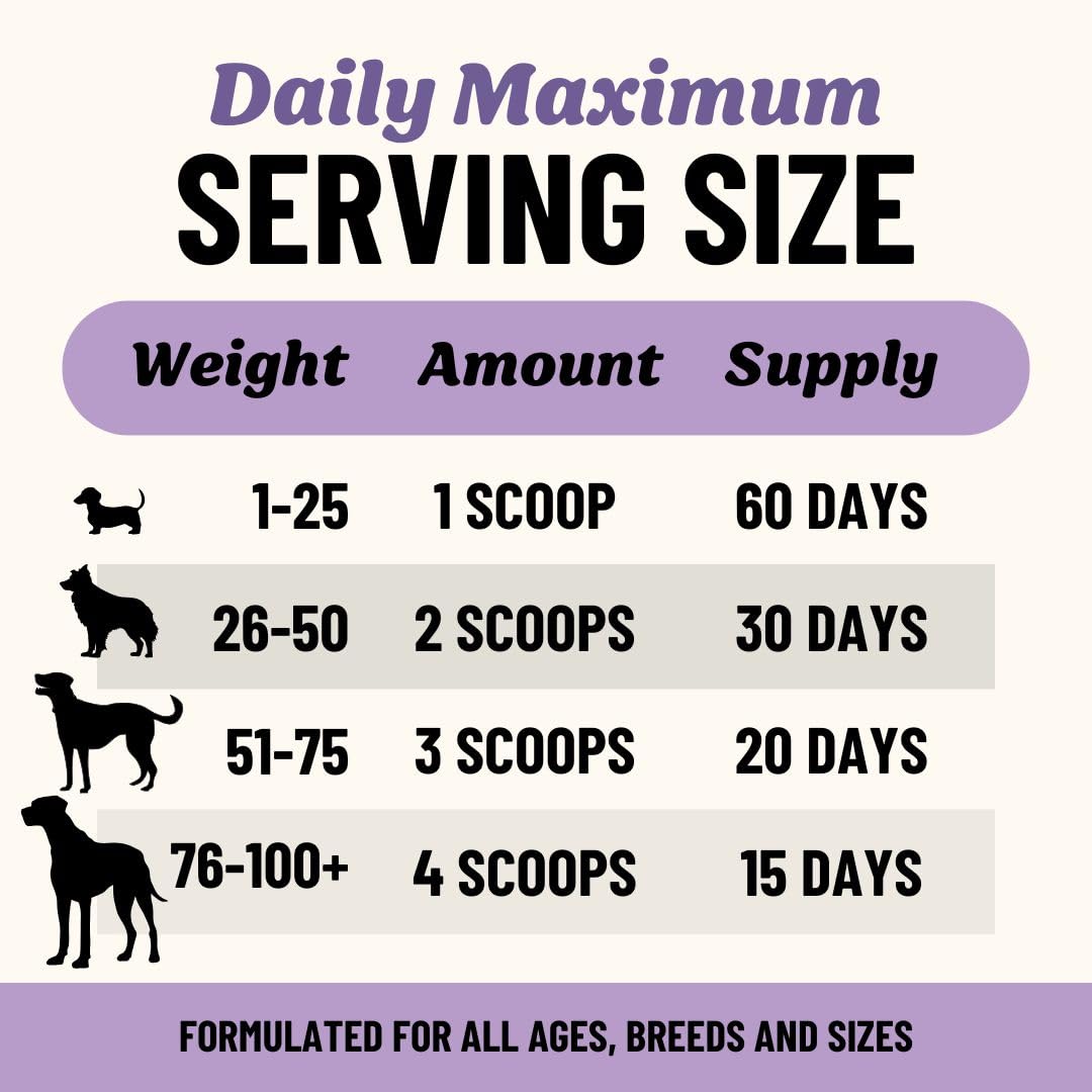 Container shows no preservatives, supporting clean ingredients for dogs.