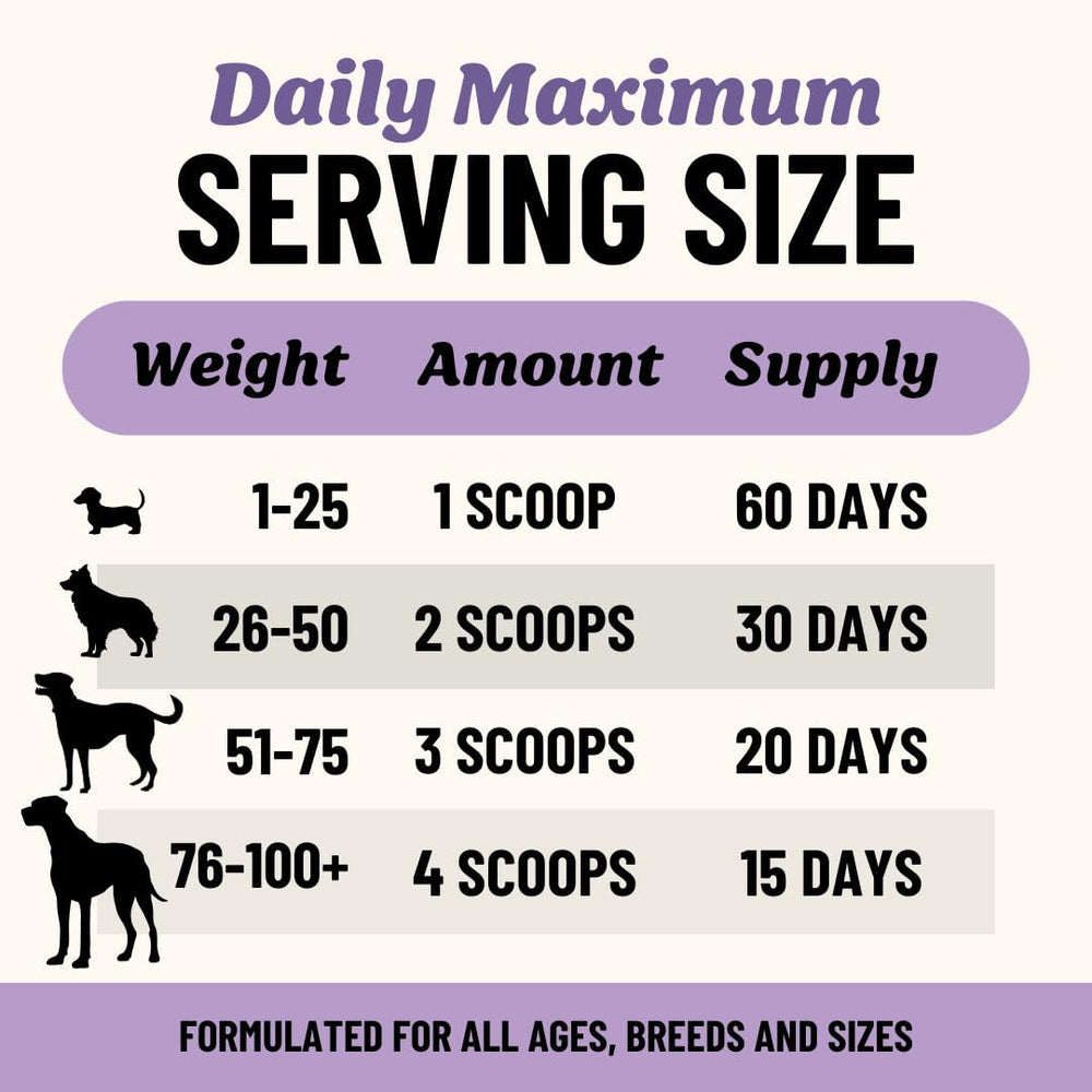 Container shows no preservatives, supporting clean ingredients for dogs.