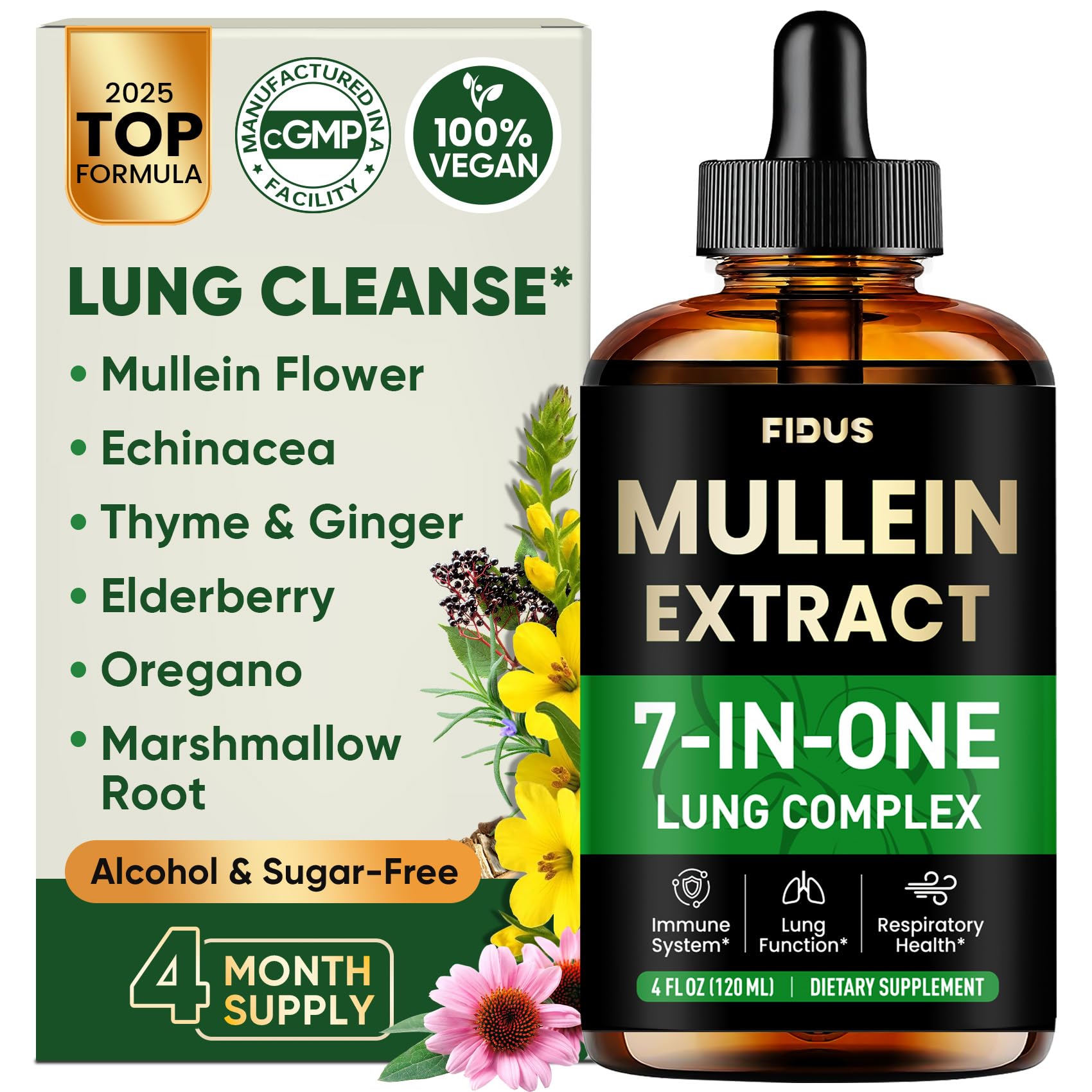 Fidus Mullein Drops bottle pour for easy dosing and potential lung support.