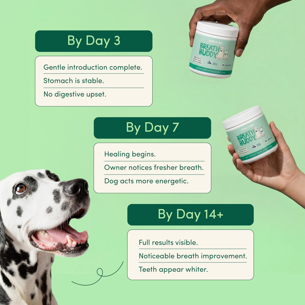 Daily use scene with Breath Buddy powder for easy routine