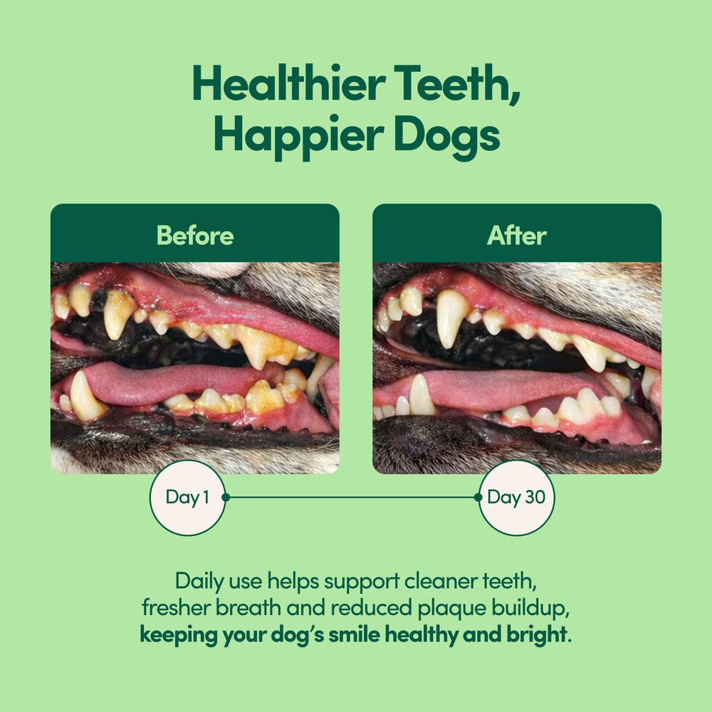 Fifth & Fido Breath Buddy natural ingredients badge on packaging