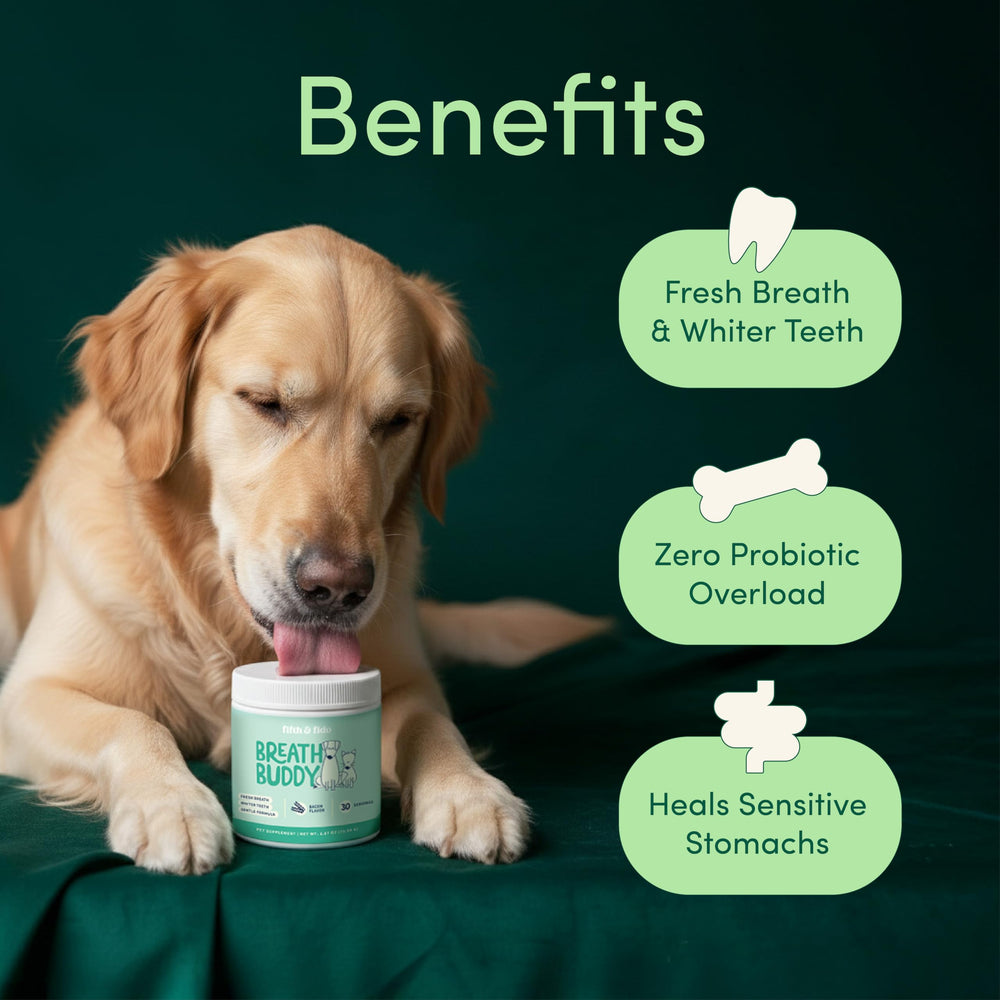 Fifth & Fido Breath Buddy USA Made label on the tin