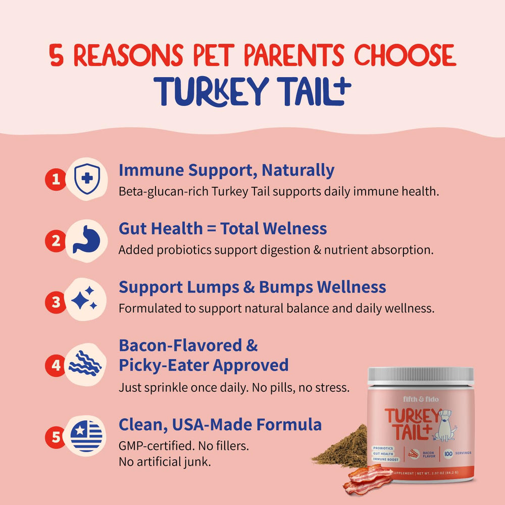 Fifth & Fido reishi mushroom powder; boosts dog vitality.