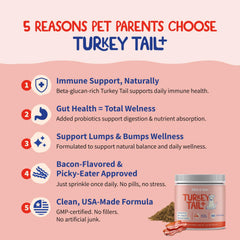 Fifth & Fido reishi mushroom powder; boosts dog vitality.