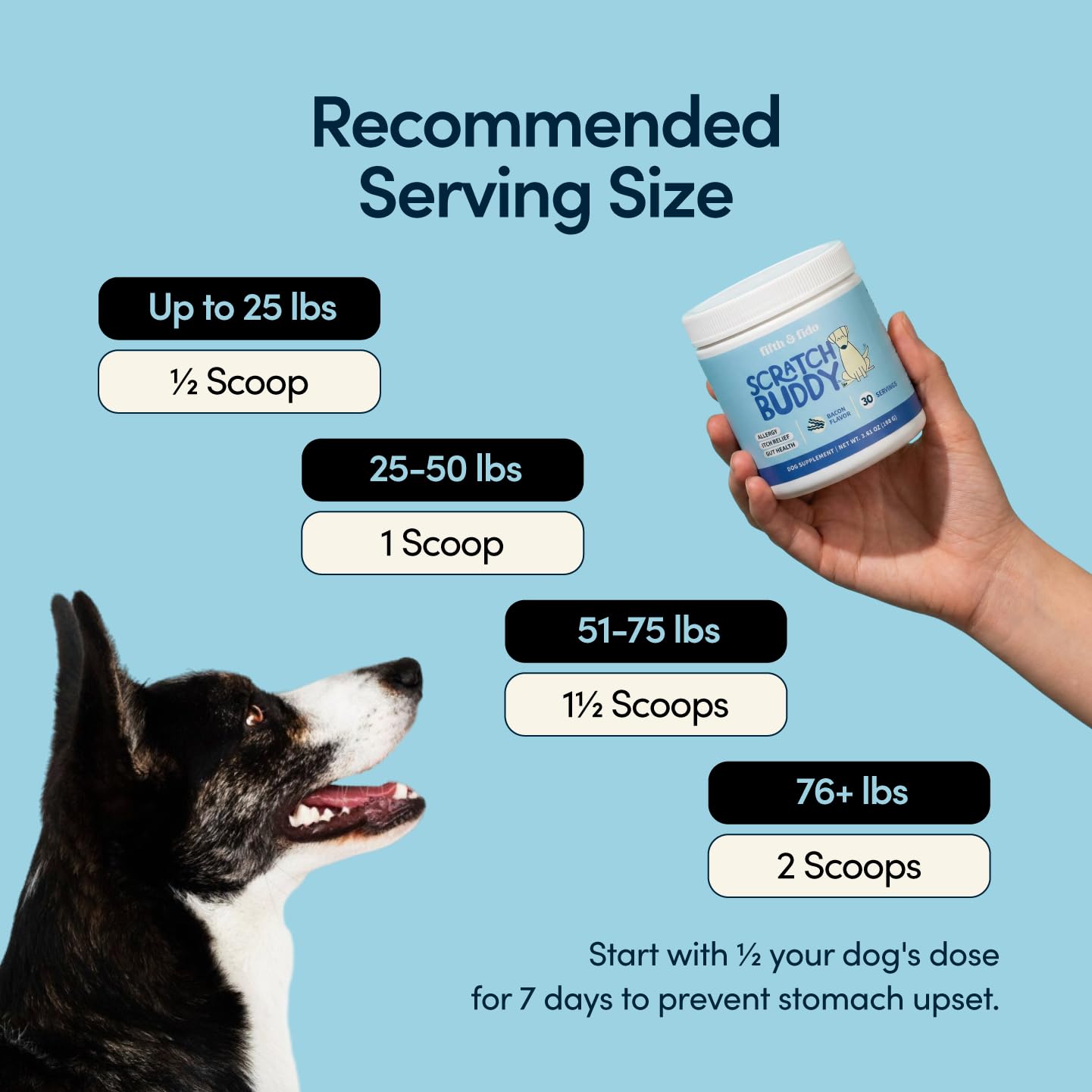 Fifth & Fido Scratch Buddy probiotics image for gut balance.