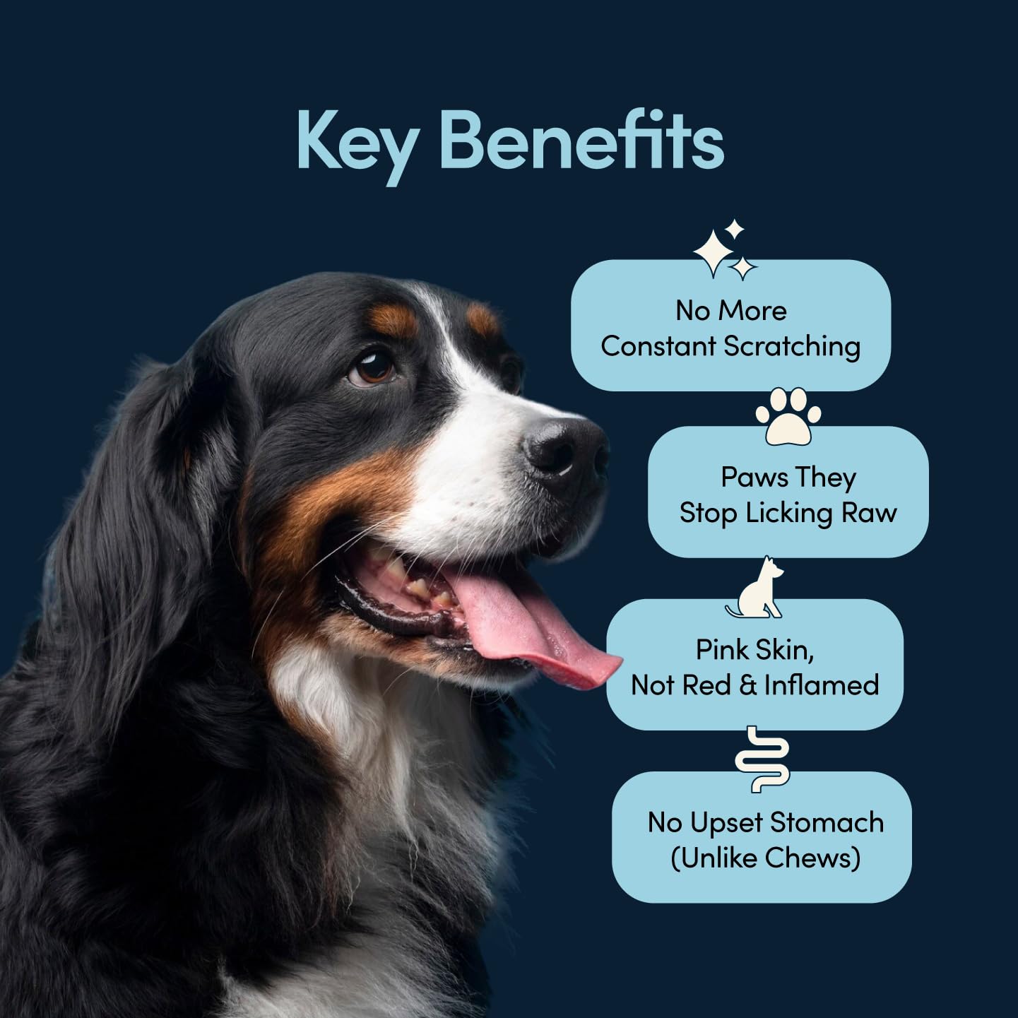 Fifth & Fido Scratch Buddy spirulina image illustrating histamine regulation.
